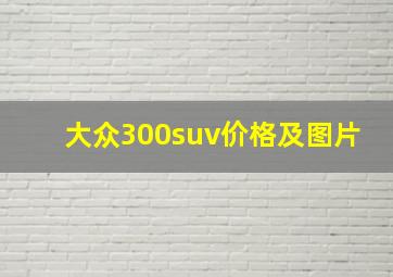 大众300suv价格及图片