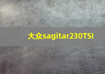 大众sagitar230TSI