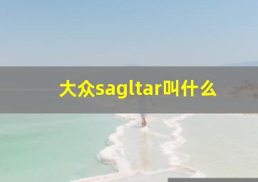 大众sagltar叫什么