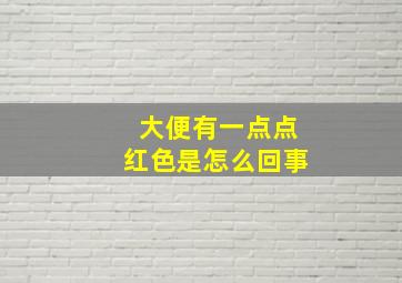 大便有一点点红色是怎么回事