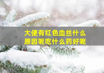 大便有红色血丝什么原因呢吃什么药好呢