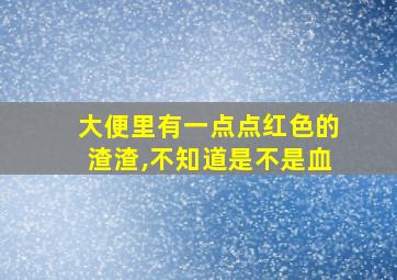 大便里有一点点红色的渣渣,不知道是不是血