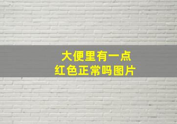 大便里有一点红色正常吗图片