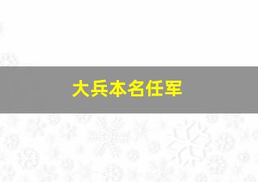 大兵本名任军