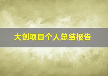 大创项目个人总结报告