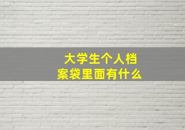 大学生个人档案袋里面有什么