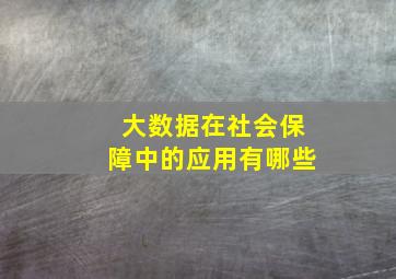 大数据在社会保障中的应用有哪些