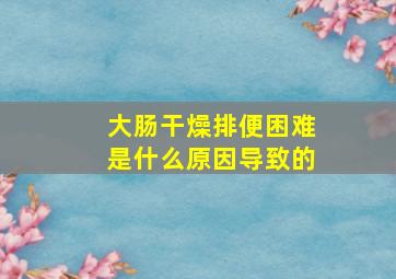 大肠干燥排便困难是什么原因导致的