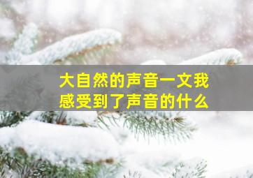 大自然的声音一文我感受到了声音的什么