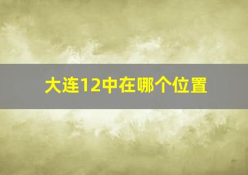 大连12中在哪个位置