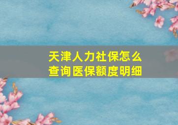 天津人力社保怎么查询医保额度明细