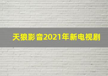 天狼影音2021年新电视剧