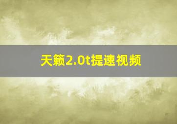 天籁2.0t提速视频