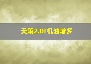 天籁2.0t机油增多