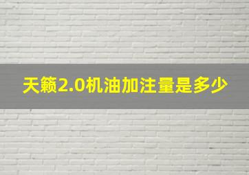 天籁2.0机油加注量是多少