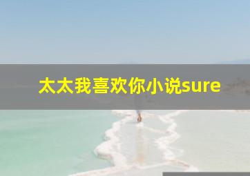 太太我喜欢你小说sure