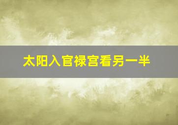 太阳入官禄宫看另一半