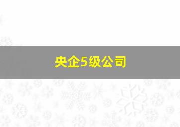 央企5级公司