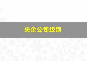 央企公司级别