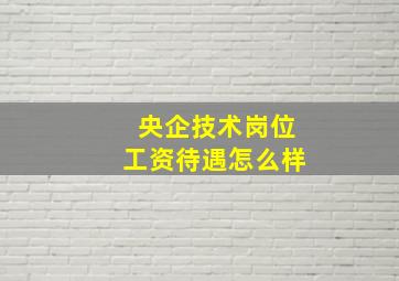 央企技术岗位工资待遇怎么样