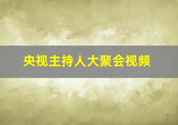 央视主持人大聚会视频