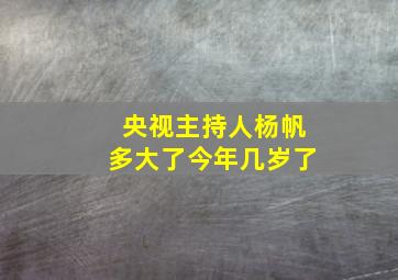 央视主持人杨帆多大了今年几岁了