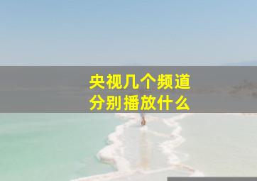 央视几个频道分别播放什么