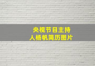 央视节目主持人杨帆简历图片