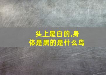 头上是白的,身体是黑的是什么鸟