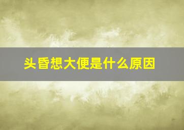 头昏想大便是什么原因