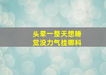 头晕一整天想睡觉没力气挂哪科