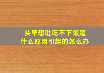 头晕想吐吃不下饭是什么原因引起的怎么办