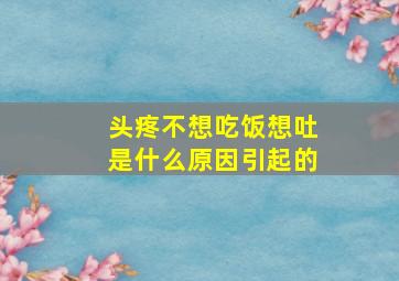 头疼不想吃饭想吐是什么原因引起的