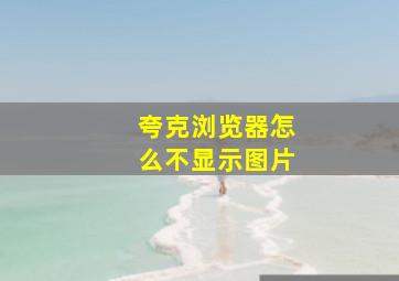 夸克浏览器怎么不显示图片