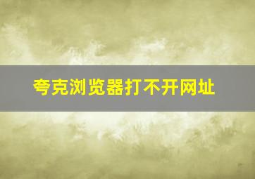 夸克浏览器打不开网址