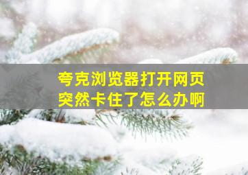 夸克浏览器打开网页突然卡住了怎么办啊