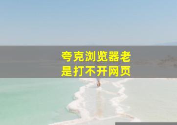 夸克浏览器老是打不开网页