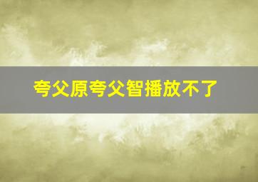 夸父原夸父智播放不了