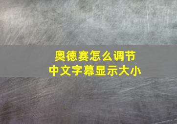 奥德赛怎么调节中文字幕显示大小