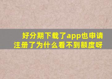 好分期下载了app也申请注册了为什么看不到额度呀