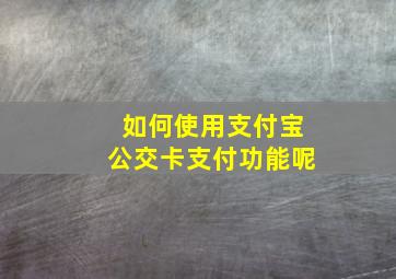 如何使用支付宝公交卡支付功能呢