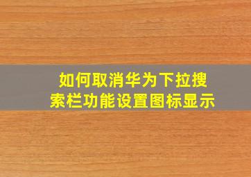 如何取消华为下拉搜索栏功能设置图标显示