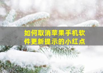 如何取消苹果手机软件更新提示的小红点