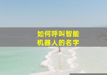 如何呼叫智能机器人的名字