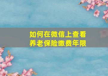 如何在微信上查看养老保险缴费年限