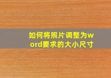 如何将照片调整为word要求的大小尺寸