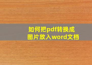 如何把pdf转换成图片放入word文档