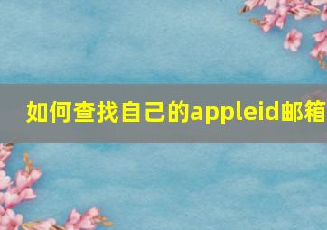 如何查找自己的appleid邮箱