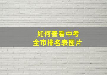 如何查看中考全市排名表图片