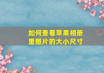 如何查看苹果相册里图片的大小尺寸